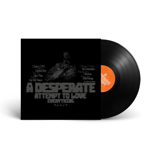 A Desperate Attempt To Love Everything Vinyl